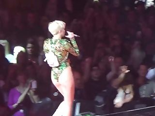 japan concert